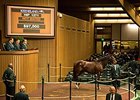 Prom Time, Hip 1271, sold for $102,000.