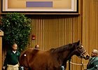 Hip 578, Roan Inish, brought $500,000 to lead the session.