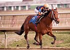 Never Gone South comes home strong to win the Frank Whiteley Jr. Stakes at Laurel Park.