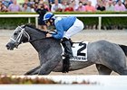 Mohaymen winning the Holy Bull Stakes.
<br><a target="blank" href="http://photos.bloodhorse.com/AtTheRaces-1/At-the-Races-2016/i-22Bn4xX">Order This Photo</a>