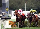 Sun Jewellery holds off the late charge of Werther