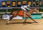 Mo Tom won the 2016 edition of the Lecomte.