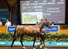 Lot 672, a Fastnet Rock filly, brought Aus$1 million (US$695,300).