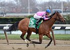 La Verdad rolls to victory in the Interborough Stakes.<br><a target="blank" href="http://photos.bloodhorse.com/AtTheRaces-1/At-the-Races-2016/i-pddzZFL">Order This Photo</a>