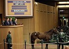 Paris Bikini, Hip 177, sold for $425,000.