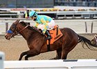King Kranz Breaks Maiden in Lost In The Fog King Kranz Breaks Maiden in Lost In The Fog