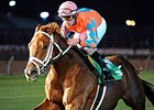 Da Big Hoss and Florent Geroux take the John B. Connally Turf Cup.