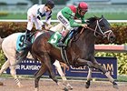 Mexikoma fights off Mr. Jordan to win the Sunshine Millions Classic Stakes.<br><a target="blank" href="http://photos.bloodhorse.com/AtTheRaces-1/At-the-Races-2016/i-cGDqrWk">Order This Photo</a>