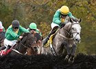 Dawalan Named Champion Steeplechase Horse Dawalan Named Champion Steeplechase Horse