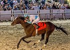Saintly Lecomte for Mo Tom, G M B Racing Saintly Lecomte for Mo Tom, G M B Racing