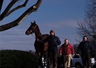 Keeneland January Sale: Session 1 Wrap Keeneland January Sale: Session 1 Wrap