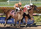 You Bought Her (left) finished second by a head in the Sunshine Millions Distaff Jan. 16.<br><a target="blank" href="http://photos.bloodhorse.com/AtTheRaces-1/At-the-Races-2016/i-D4x9K8x">Order This Photo</a>