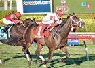 Charming Kitten gets the victory in the H. Allen Jerkens Stakes.