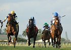 Heart to Heart (right) leads them home in the Ft. Lauderdale.<br><a target="blank" href="http://photos.bloodhorse.com/AtTheRaces-1/At-the-Races-2016/i-SdrkGv9">Order This Photo</a>