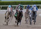 Mohaymen wins the 2016 Holy Bull Stakes.