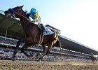 Photographer Michael Clevenger's picture of American Pharoah