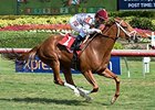 Sandiva won the Marshua's River Jan. 9. <br><a target="blank" href="http://photos.bloodhorse.com/AtTheRaces-1/At-the-Races-2016/i-wmSMcdV">Order This Photo</a>