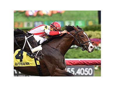 Life Imitates Art won his graded debut Jan. 2 in the Dania Beach at Gulfstream.<br><a target="blank" href="http://photos.bloodhorse.com/AtTheRaces-1/At-the-Races-2016/i-CwP7zHS">Order This Photo</a>