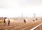 Laurel Park Cancels Jan. 23-24 Live Racing Laurel Park Cancels Jan. 23-24 Live Racing