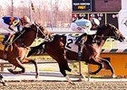 Vorticity won the 2016 Marylander Stakes at Laurel Park.