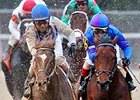 Von Hemel Duo Could Try Southwest Stakes Von Hemel Duo Could Try Southwest Stakes