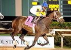 Forever Unbridled takes the Houston Ladies Classic.