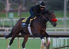Nyquist Works Two Turns at Santa Anita Nyquist Works Two Turns at Santa Anita