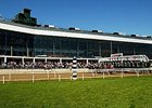 Laurel Park