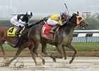 Saythreehailmary's won the Ladies Handicap on Jan. 10. <br><a target="blank" href="http://photos.bloodhorse.com/AtTheRaces-1/At-the-Races-2016/i-ZB7RhgT">Order This Photo</a>