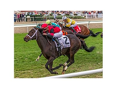 Chocolate Ride winning the Jan. 16 Col. E.R. Bradley Handicap