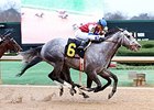 Street Strategy takes the the Fifth Season Stakes at Oaklawn.