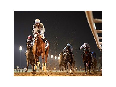 California Chrome