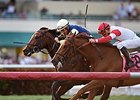 Lukes Alley (outside) gets his head in front of Shining Copper to win the Gulfstream Park Turf Handicap.<br><a target="blank" href="http://photos.bloodhorse.com/AtTheRaces-1/At-the-Races-2016/i-nV87fbc">Order This Photo</a>