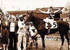 Meyerhoff, Owner of Spectacular Bid, Dies Meyerhoff, Owner of Spectacular Bid, Dies