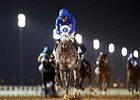 William Buick wins the 2016 Al Maktoum Challenge Round 2 aboard Frosted.