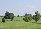 Waterford Farm