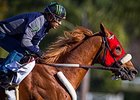 Smokey Image worked 5 furlongs in in 1:00 2/5.