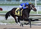 Penwith comes home strong to win the Royal Delta Stakes.<br><a target="blank" href="http://photos.bloodhorse.com/AtTheRaces-1/At-the-Races-2016/i-sqbpHV6">Order This Photo</a>