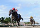 Pompa Primed With Met Mile Duo Pompa Primed With Met Mile Duo