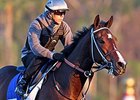 Songbird at the track Feb. 14.