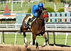 Nyquist works at Santa Anita Feb. 7.