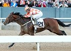 Making the Grade: Suddenbreakingnews Making the Grade: Suddenbreakingnews