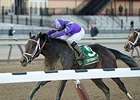 Mo d'Amour Rallies to Victory in Busher Mo d'Amour Rallies to Victory in Busher