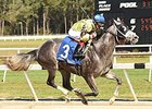 Destin Posts First Stakes Win in Sam F. Davis Destin Posts First Stakes Win in Sam F. Davis