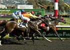 Moogie Woogie brings trainer Bill McLean's 1,000th win Feb. 7.