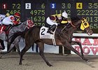 Stormdriver wins the LA Bred Premier Night Championship Stakes.