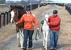 Princesspatseattle and her Honorable Dillon foal.
