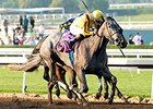 Tara's Tango wins the 2016 Santa Maria Stakes.
