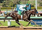Mor Spirit gets the victory in the Robert B. Lewis Stakes.