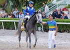 Mohaymen